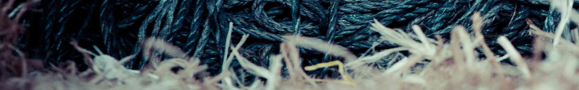 THIRD PARTY PROCESSING