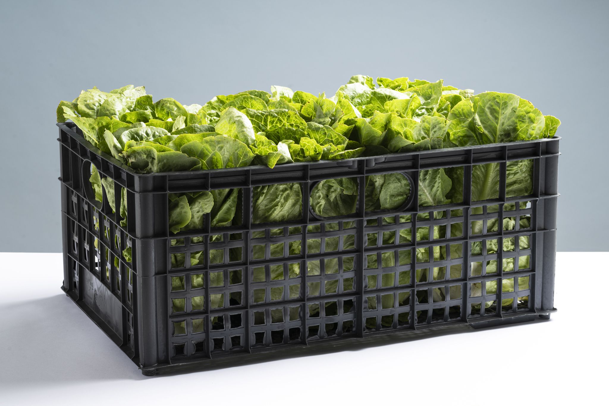 cassetta per settore agroalimentare